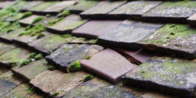 Latimer roof repair costs